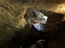 Carlsbad Caverns (781393)