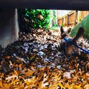 San Antonio with Atti (781431)