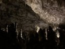 Carlsbad Caverns (781417)