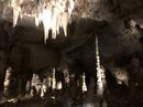 Carlsbad Caverns (781332)
