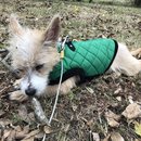 New Year's Eve Day (781703)