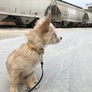 Christmas in Houston (781727)