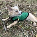 New Year's Eve Day (781974)