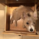 Atti in a Drawer (781917)