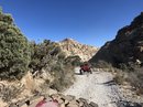 Off-Roading in Red Rock Canyon (781792)