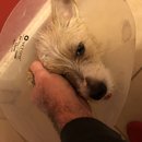 Atticus Finch! (781682)