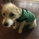 New Year's Eve Day (782010)