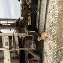 Christmas in Houston (782327)