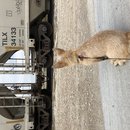 Christmas in Houston (782212)