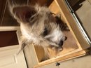 Atti in a Drawer (782303)