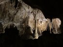 Carlsbad Caverns (782434)