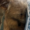 Atticus Finch! (782401)