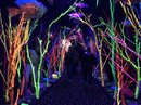 Visiting Meow Wolf with Bao (782614)