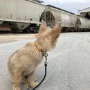 Christmas in Houston (782553)