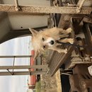 Christmas in Houston (782579)