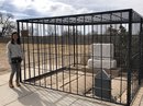 Billy the Kid's Tomb (783003)