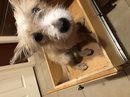 Atti in a Drawer (782882)