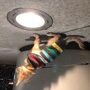 Snow Day in Grand Rapids (782816)