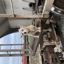 Christmas in Houston (782726)