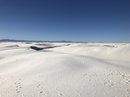Roadtrip to White Sands, NM (782923)