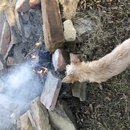 Fire Pit with Atters (783031)