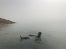 The Dead Sea (782871)