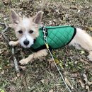 New Year's Eve Day (782709)