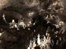 Carlsbad Caverns (782744)