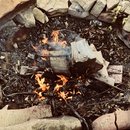 New Year's Eve Day (782824)