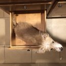 Atti in a Drawer (782855)