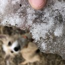 Random Atti Pics (783163)