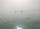 The Dead Sea (783293)