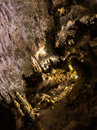 Carlsbad Caverns (783274)