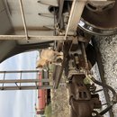 Christmas in Houston (783335)