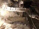 Carlsbad Caverns (783119)