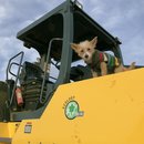 Playday with Atti (783279)