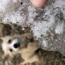 Random Atti Pics (783204)