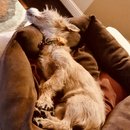 Christmas in Houston (783045)