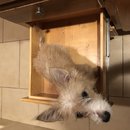 Atti in a Drawer (783500)