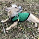 New Year's Eve Day (783673)