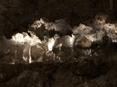 Carlsbad Caverns (783694)