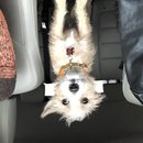 New Year's Eve Day (783428)