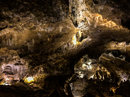 Carlsbad Caverns (783559)