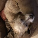 Christmas in Houston (783416)