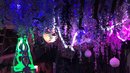 Visiting Meow Wolf with Bao (783554)