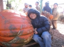 Williams and the Pumpkin Patch (16734)