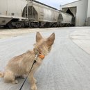 Christmas in Houston (783810)