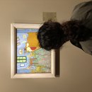 Chicago Museum of Art (783956)