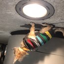 Snow Day in Grand Rapids (784120)