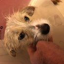 Atticus Finch! (784209)